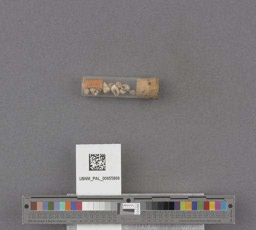 NSF ADBC EPICC TCN