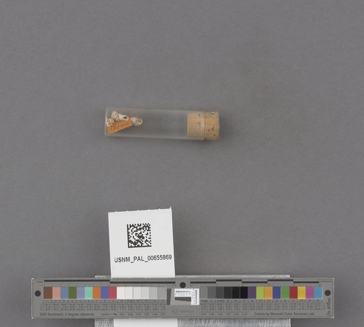 NSF ADBC EPICC TCN