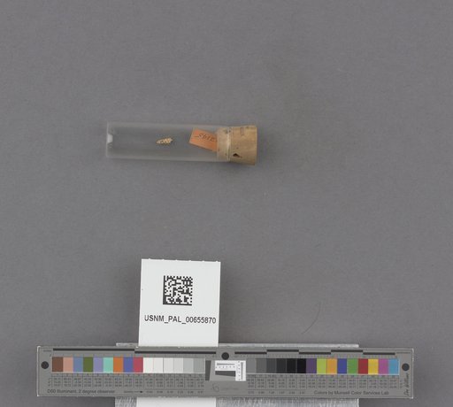 NSF ADBC EPICC TCN