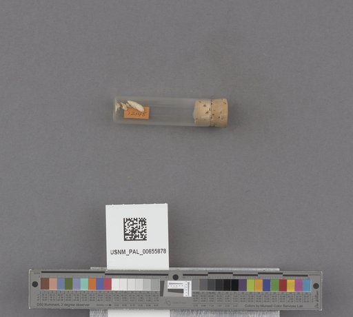 NSF ADBC EPICC TCN