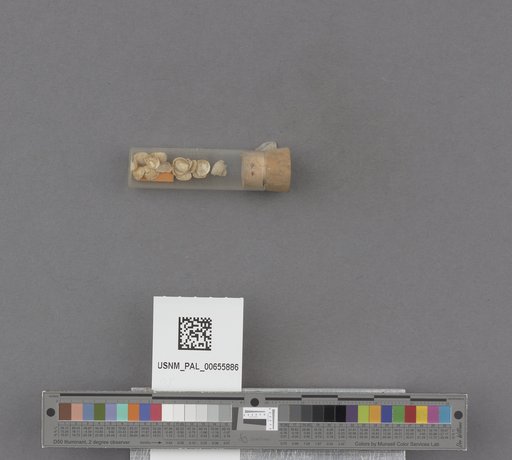 NSF ADBC EPICC TCN