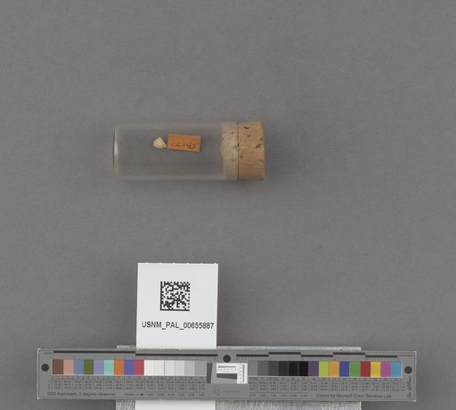 NSF ADBC EPICC TCN