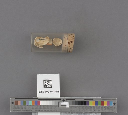 NSF ADBC EPICC TCN