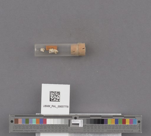 NSF ADBC EPICC TCN