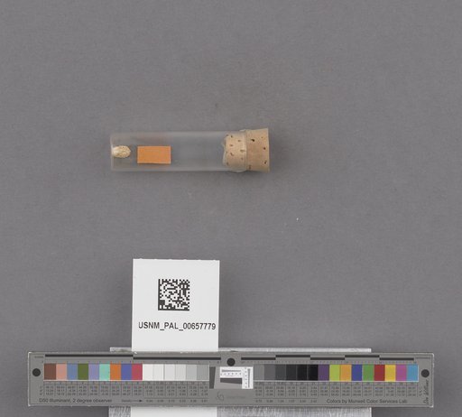NSF ADBC EPICC TCN