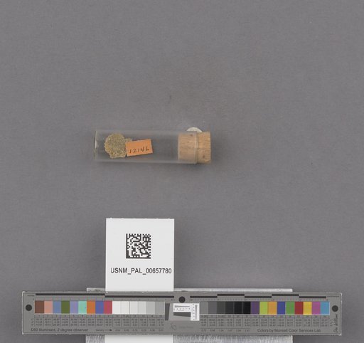 NSF ADBC EPICC TCN