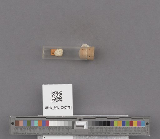 NSF ADBC EPICC TCN