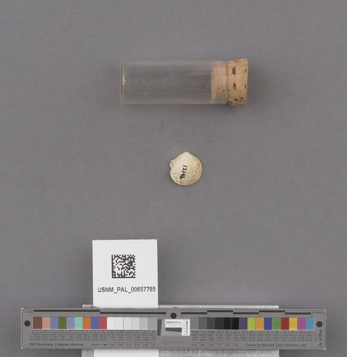 NSF ADBC EPICC TCN