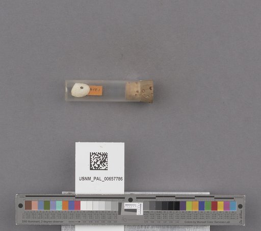 NSF ADBC EPICC TCN