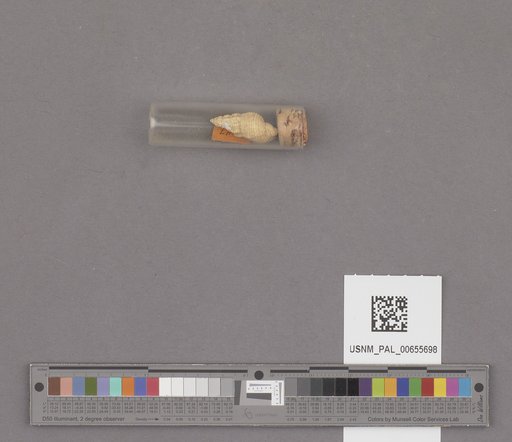 NSF ADBC EPICC TCN
