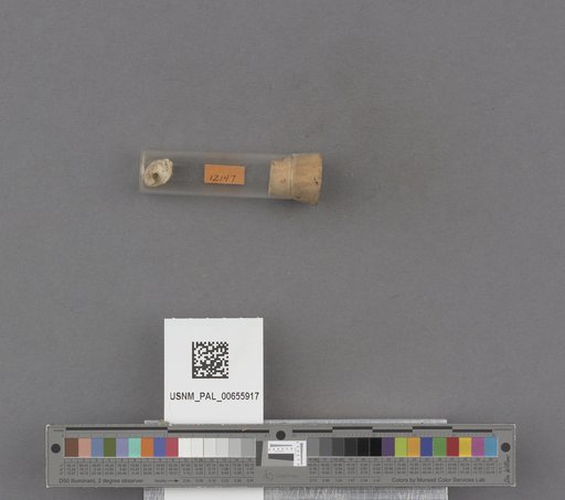 NSF ADBC EPICC TCN