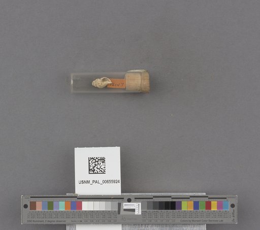 NSF ADBC EPICC TCN