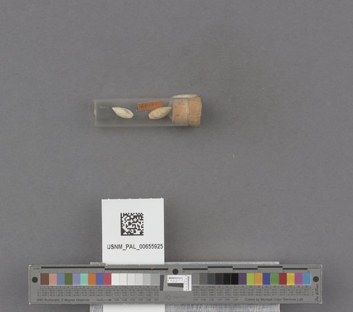 NSF ADBC EPICC TCN