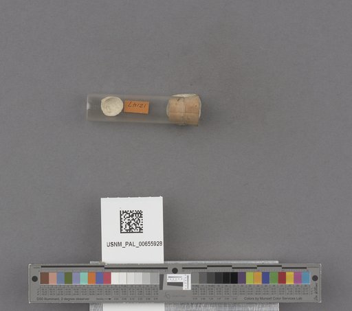 NSF ADBC EPICC TCN