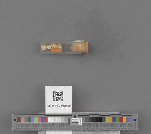 NSF ADBC EPICC TCN
