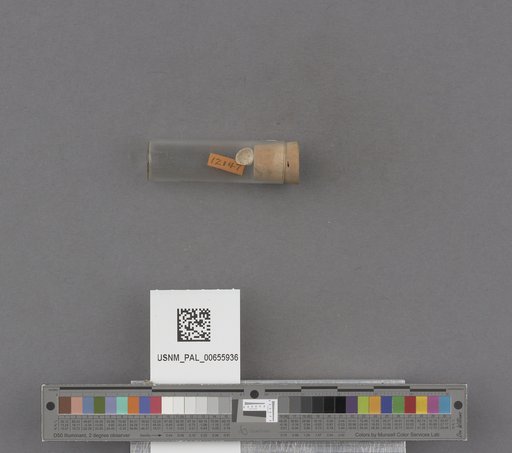 NSF ADBC EPICC TCN