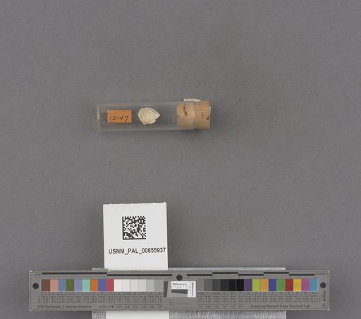 NSF ADBC EPICC TCN