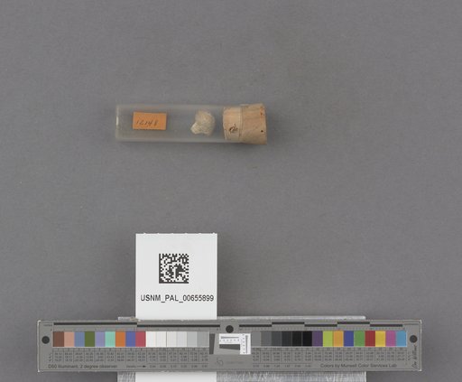 NSF ADBC EPICC TCN