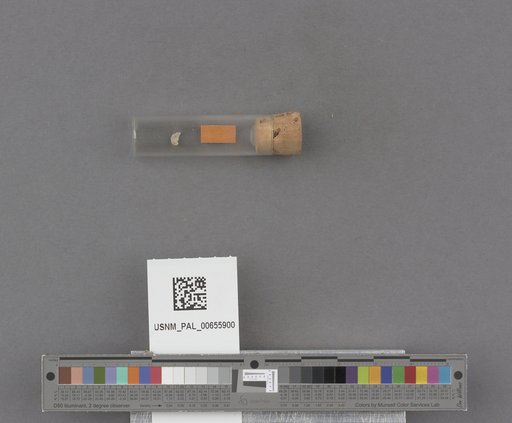 NSF ADBC EPICC TCN