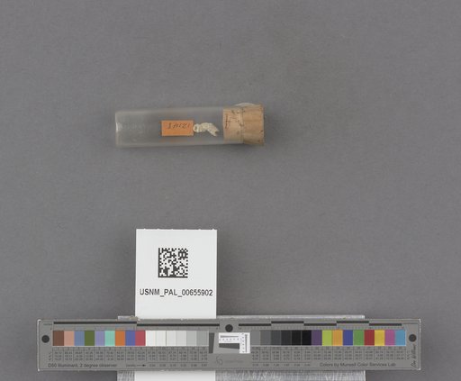 NSF ADBC EPICC TCN
