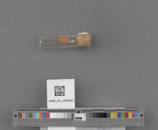 NSF ADBC EPICC TCN