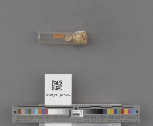 NSF ADBC EPICC TCN