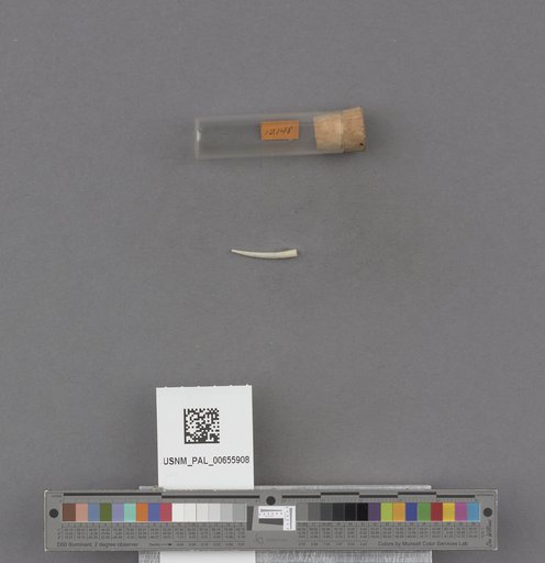 NSF ADBC EPICC TCN
