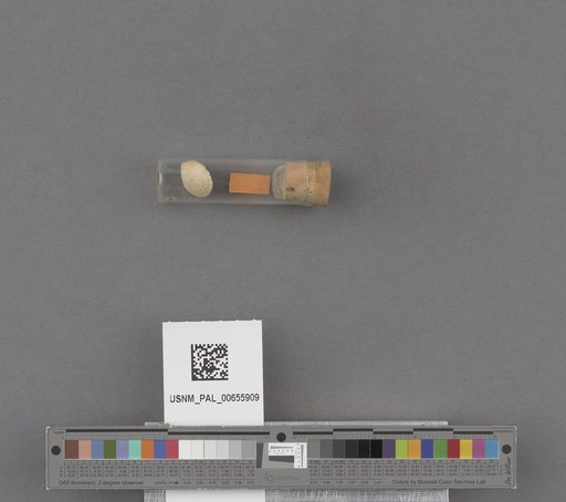 NSF ADBC EPICC TCN