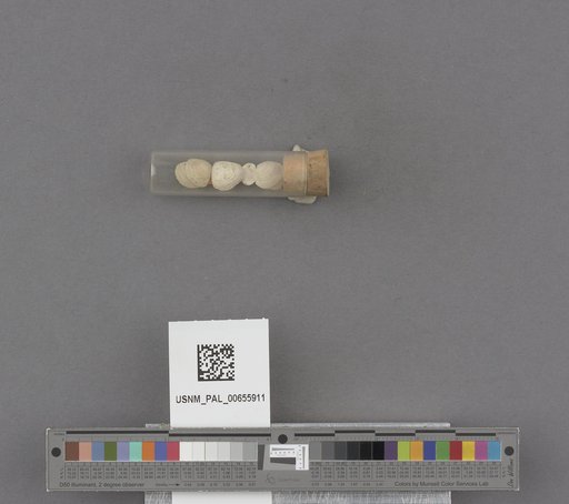 NSF ADBC EPICC TCN