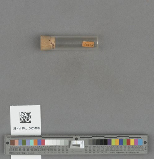 NSF ADBC EPICC TCN
