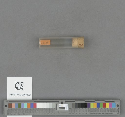 NSF ADBC EPICC TCN