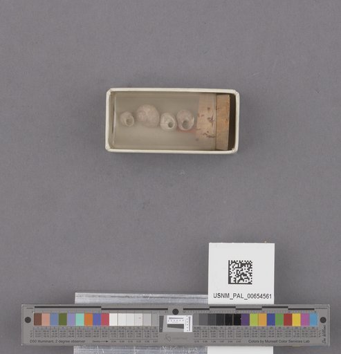 NSF ADBC EPICC TCN
