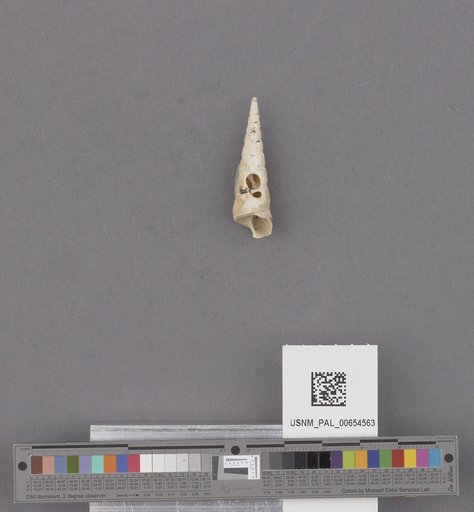 NSF ADBC EPICC TCN