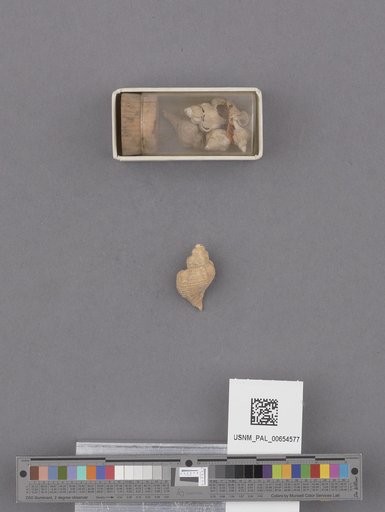 NSF ADBC EPICC TCN