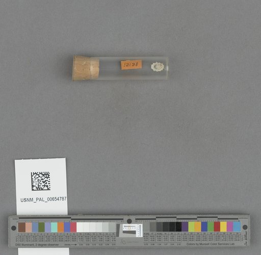 NSF ADBC EPICC TCN