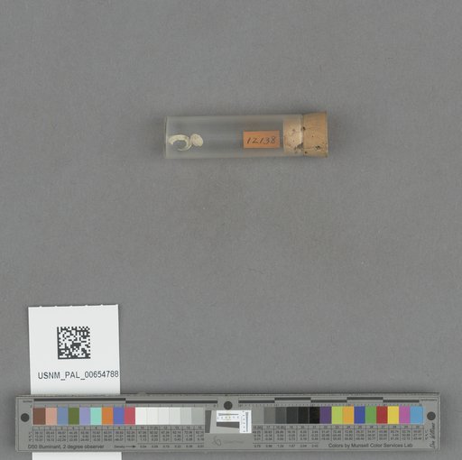 NSF ADBC EPICC TCN