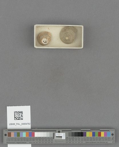 NSF ADBC EPICC TCN