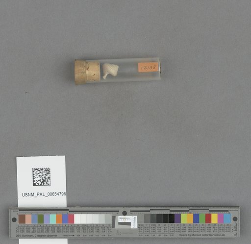 NSF ADBC EPICC TCN