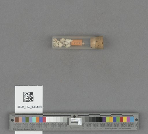 NSF ADBC EPICC TCN