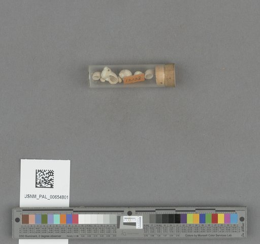NSF ADBC EPICC TCN
