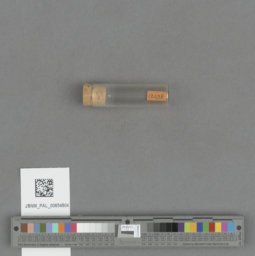 NSF ADBC EPICC TCN