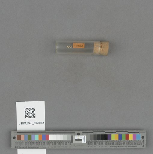 NSF ADBC EPICC TCN