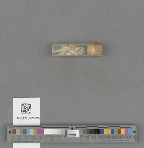 NSF ADBC EPICC TCN