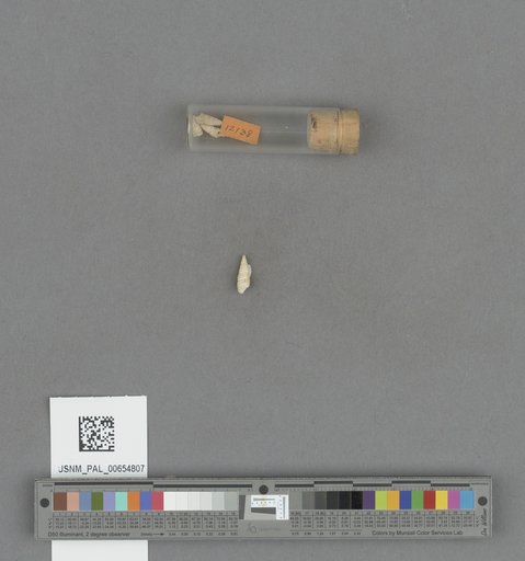 NSF ADBC EPICC TCN