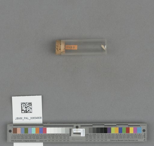 NSF ADBC EPICC TCN