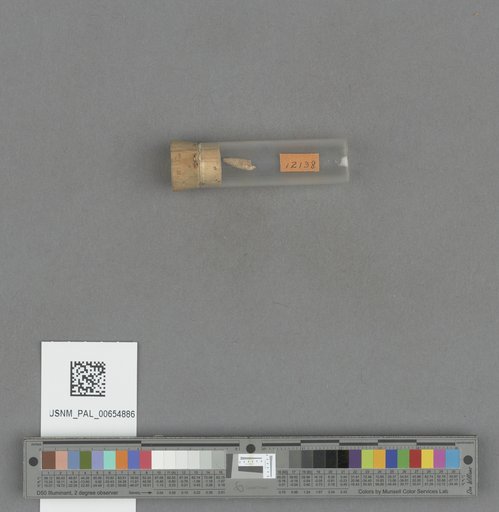 NSF ADBC EPICC TCN