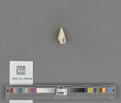 NSF ADBC EPICC TCN