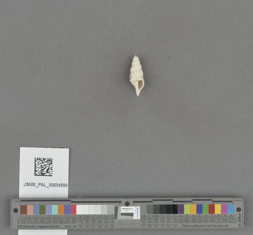 NSF ADBC EPICC TCN