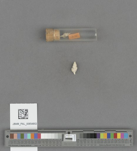 NSF ADBC EPICC TCN