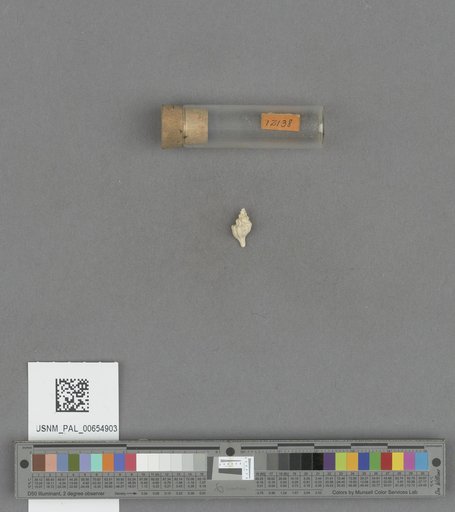 NSF ADBC EPICC TCN
